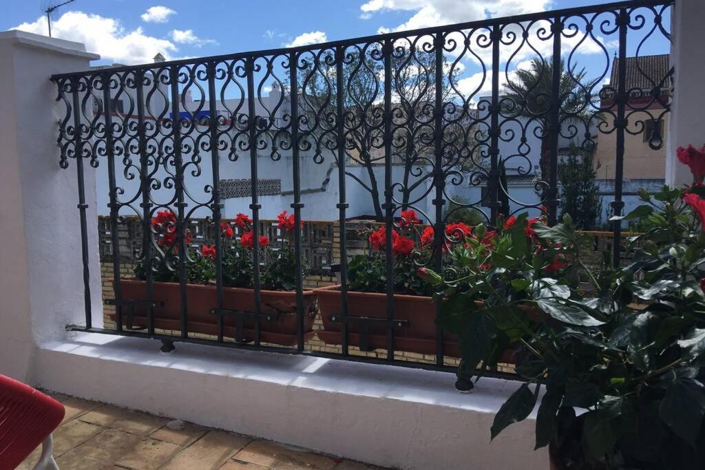 Vila Geranium House Sevilla Exteriér fotografie